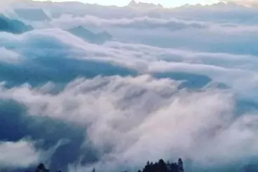 Bed and Breakfast Munnar Jungle Camp