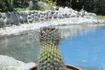 Hotel El Cielo Lodge