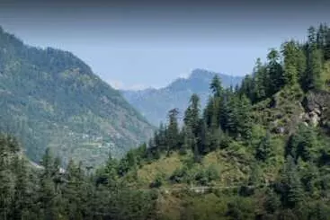 ホテル Wilderness Home Jibhi