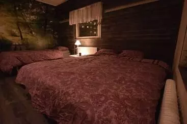 Pensione Nordic Borealis House