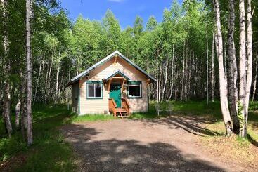 Takleetnas Mount Dall Cottage With Wi Fi And Washer/dryer