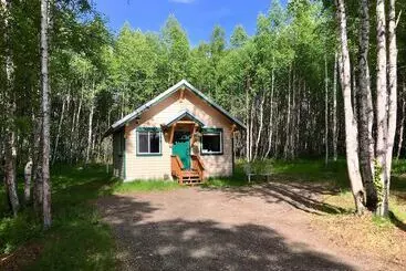 Takleetnas Mount Dall Cottage With Wi Fi And Washer/dryer
