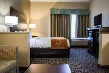 Отель Comfort Suites Clearwater  Dunedin