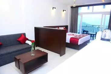 Hotel Palmtree Leaf, Munnar