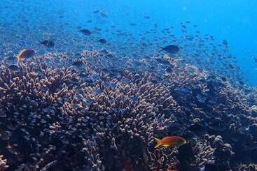 ペンション Minory Guesthouse