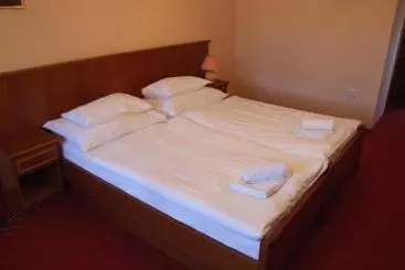 Majatalo Penzion 77   Garni