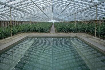 Hotel Senhora Da Rosa, Tradition & Nature