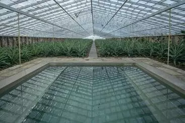 فندق Senhora Da Rosa, Tradition & Nature