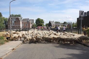 Aparthotel B & B De Smedery