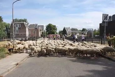 Huoneistohotelli B & B De Smedery