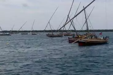 هاستل Sea Shells Inn