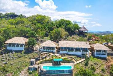 Отель Theodor Bajo