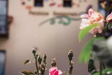 Pensiunea Casa Cu Flori