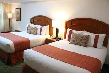 Отель Mision Pachuca