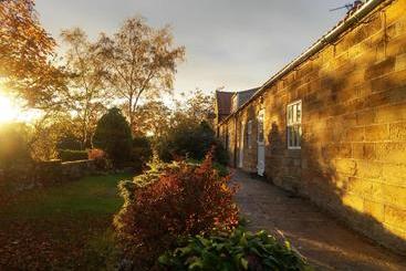 Old Bears Barn Bed And Breakfast