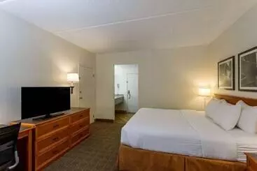 酒店 La Quinta Inn & Suites By Wyndham Jacksonville Mandarin