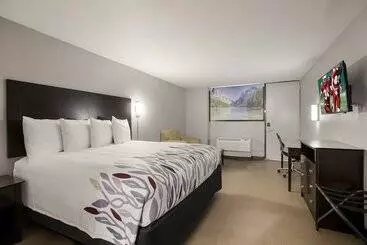 Hotel Red Roof Inn Alexandria, La