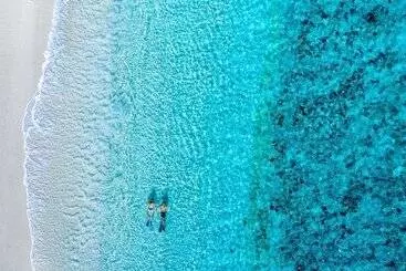 فندق Wilson Island