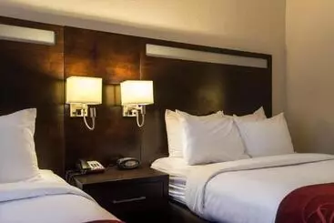 בית מלון כפרי Comfort Suites Northside Hospital Gwinnett