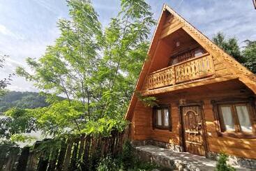 پانسیون Old Dili