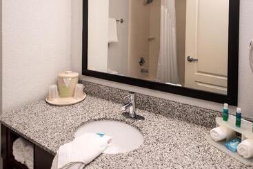 酒店 Holiday Inn Express & Suites Alamogordo Highway 54/70, An Ihg