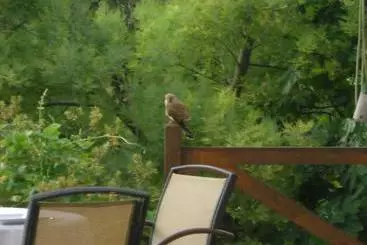 فندق ريفى Villa Vegana