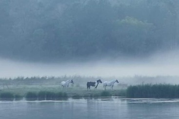 בית מלון כפרי Blankaholms Bad Och Naturcamping