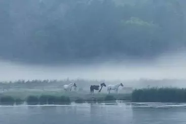 Hotel Blankaholms Bad Och Naturcamping