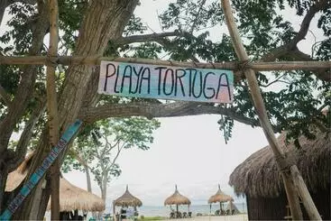 ペンション Playa Tortuga Barú