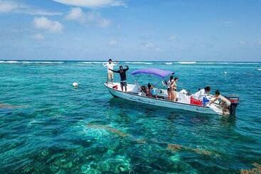 Bella S Backpackers Hostel