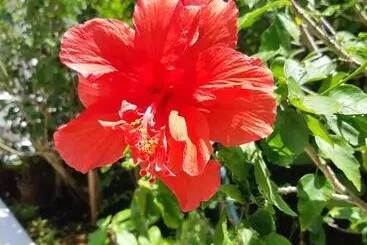 ホテル ハイビスヤブ