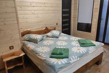 Пансион нота карпат