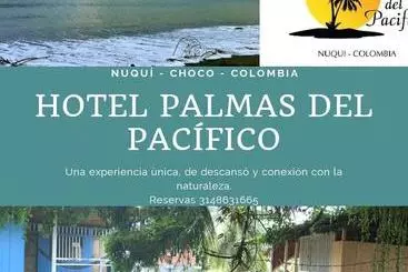 Hotel Palmas Del Pacifico