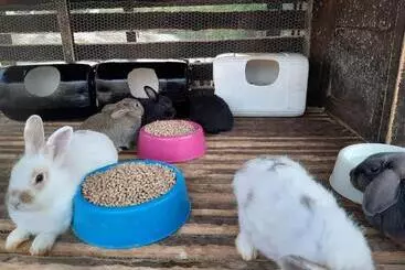 ホテル Fazendão