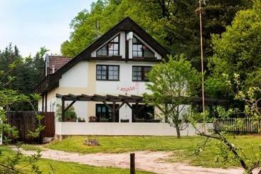 Пансион Penzion U Kostela Mláka