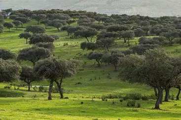 בית מלון כפרי Baldio Grande