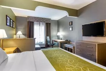 酒店 Comfort Suites Southgate Detroit