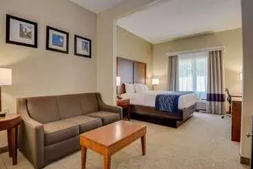 酒店 Comfort Inn & Suites Augusta Fort Eisenhower Area