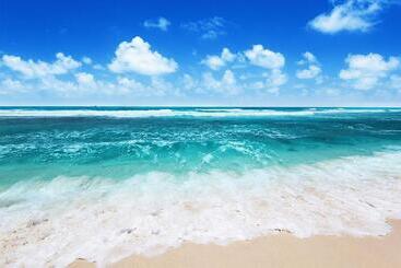 هتل B&b Palazzo Eliss Di Bartocci Srl