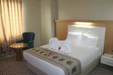 Grand Ali N Hotel Turhal