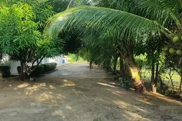 Auberge Cabañas Del Caribe La Bonga