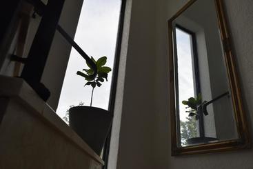 ユースホステル Tj Gardens