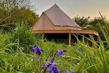 Casa Rurale Bluebell Bell Tent 20 Acres Of Natural Beauty