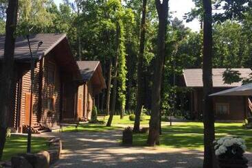 Отель Turiyske Podvir Ya