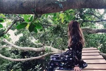 Pensió 手広beachbackpackers