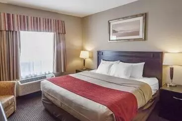 בית מלון כפרי Prairie Moon Inn Sylvan Lake