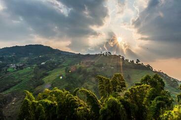 فندق صغير Finca Hotel El Mirador