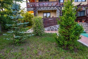 Hôtel Pensiunea Visaventura