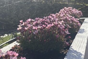 Schronisko The White Horse Inn