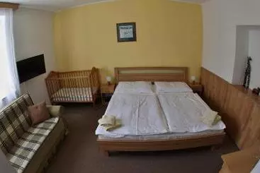 Pensjonat Penzion U Tesaru